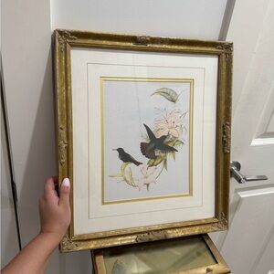 Original antique hummingbird lithograph With Gold Frame